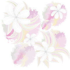 Seamless pattern with Beautiful flowers