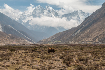 Valley in Himalayas Nepal