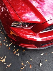 Obraz na płótnie Canvas Closeup of the Front of a Red Sports Car