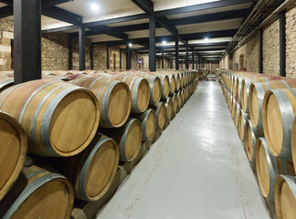  winery with  wooden barrels in rows © JackF