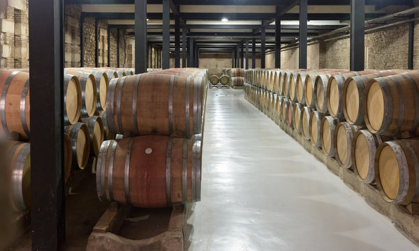  many wooden barrels in  winery