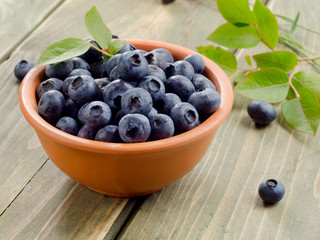 Fresh blueberries