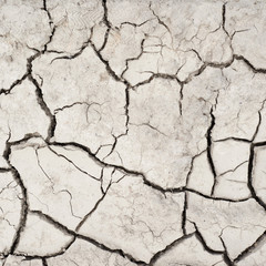 Dried and cracked mud soil fragment