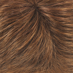 Hair fragment as a background composition