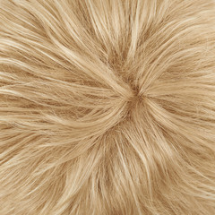 Fototapeta premium Hair fragment as a background composition