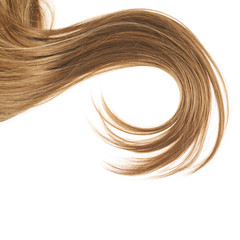 Hair fragment over the white