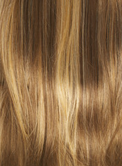 Hair fragment as a background composition