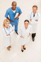 Obraz premium Always ready to help.