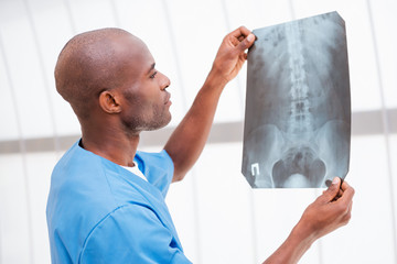 Doctor examining X-ray image.