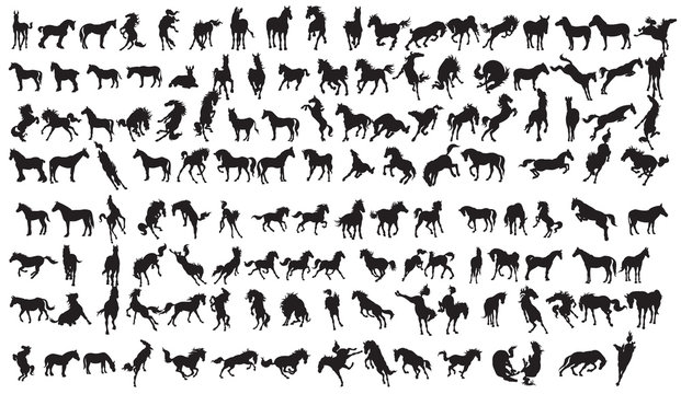 Horse Silhouette Collection.134 character EPS 10.