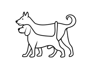 silhouette of pets