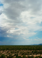 Sonora Desert