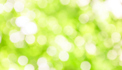 Fototapeta na wymiar Vintage abstract light green blur bokeh background.