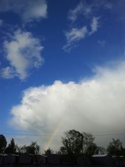 Obraz na płótnie Canvas Rainbow in the sky after the rain