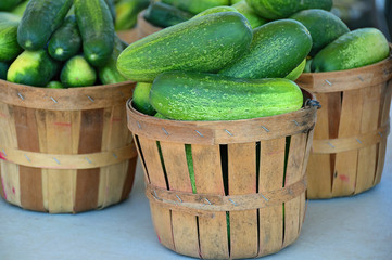 cucumbers in bushel baskets