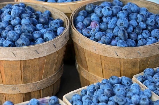 Blueberries In Bushel Basket