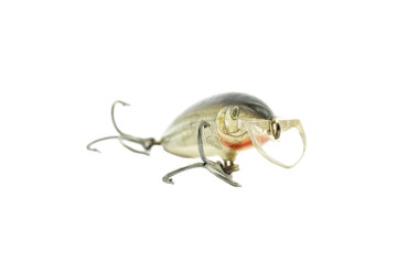 Fish bait
