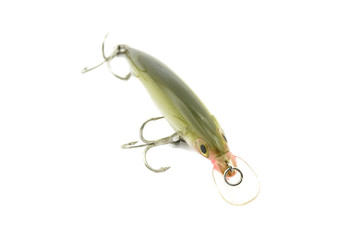 Fish bait