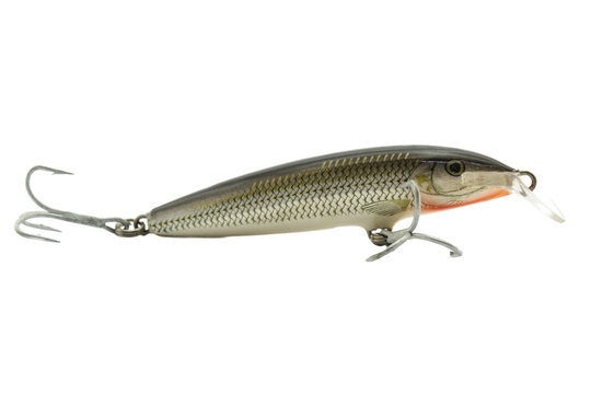 Fish bait