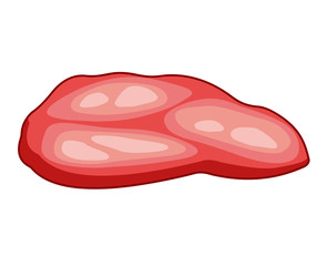 meat steak isolated illustration
