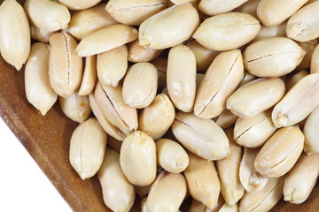 Close - up healthy food processed peanuts