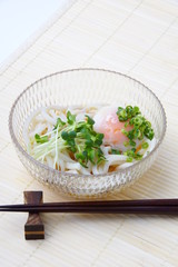 冷やしうどん