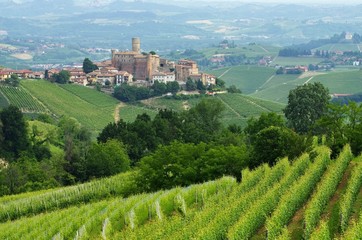Castiglione Falletto 05