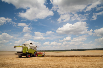 Combine working on a wheat field