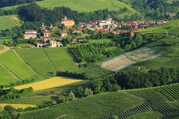 Barolo 05