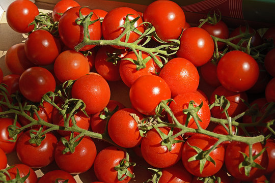 Tomaten
