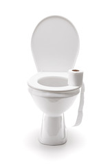 Roll of toilet paper on a toilet seat