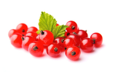 Red cuurants