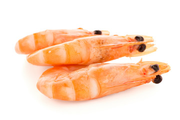 Three shrimps