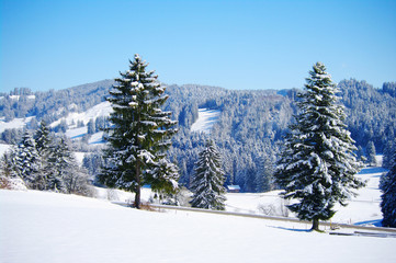 wunderschöne winterlandschaft mit wald