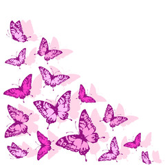 butterflies design