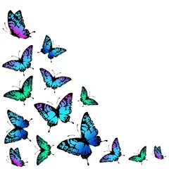 Fototapete Schmetterlinge Schmetterlinge entwerfen