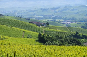 Langhe Weinberge und Doerfer - Langhe vineards and villages 05