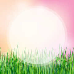 summer background with green grass