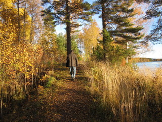 Autumn afternoon