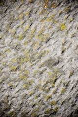 Stone background