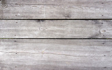 Plakat The old wood texture with natural patterns