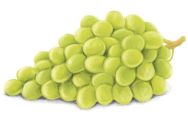 Wine Grapes