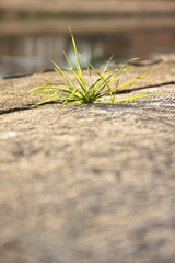 Hard life - concept image