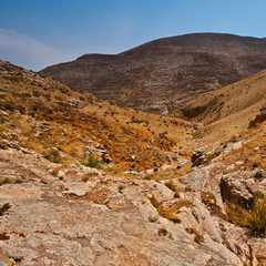 Terrain