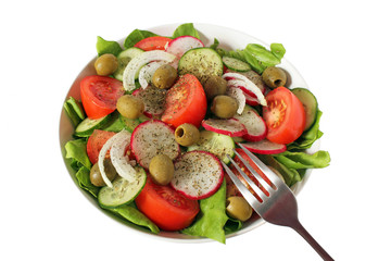 fresh vegetable salad