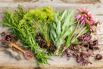 bunches of healing herbs and coneflowers on wooden plank,top vie