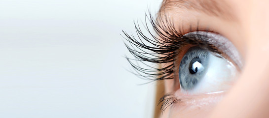 Female eye with long eyelashes close-up - obrazy, fototapety, plakaty