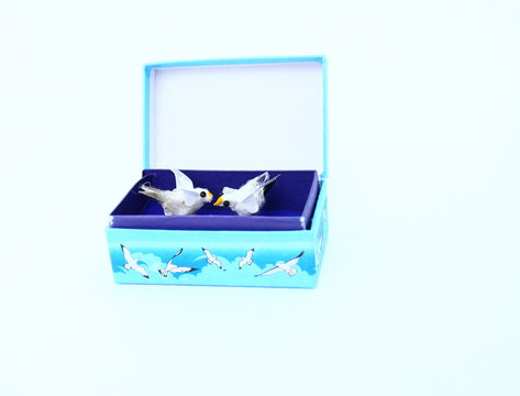 coffret"mouettes rieuses" souvenir de vacances &agrave; la mer