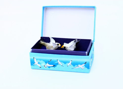 coffret"mouettes rieuses" souvenir de vacances &agrave; la mer