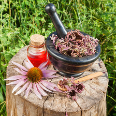 Obraz na płótnie Canvas black mortar with dried coneflowers and vial with essential oil